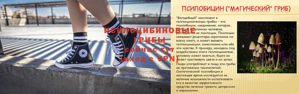 PSILOCYBIN Армянск